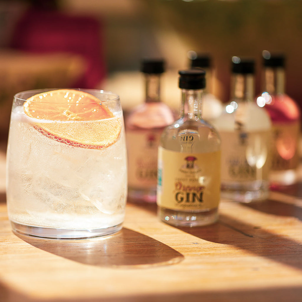 Amazing Vegan Gin Summer Cocktails