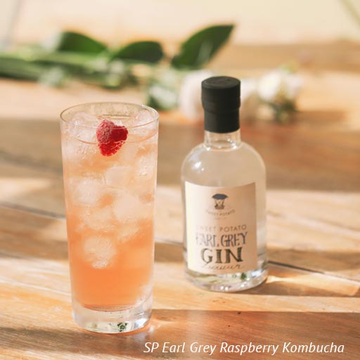 SP Earl Grey Raspberry Kombucha serve